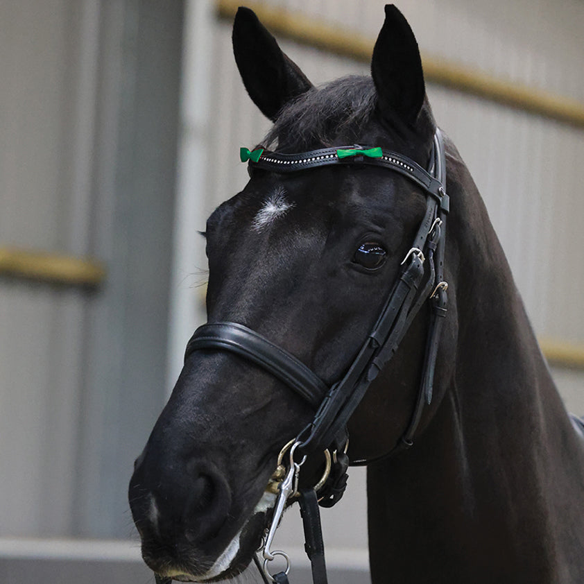 Equetech Horse Bridle Warning Ribbons #colour_green