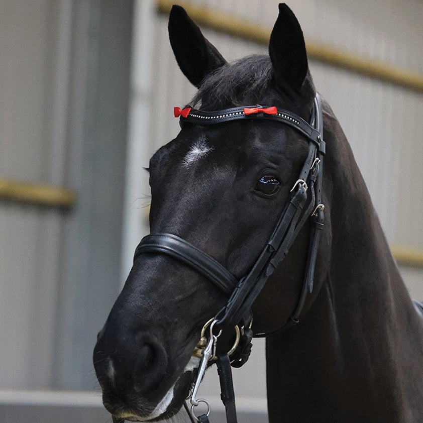 Equetech Horse Bridle Warning Ribbons #colour_red