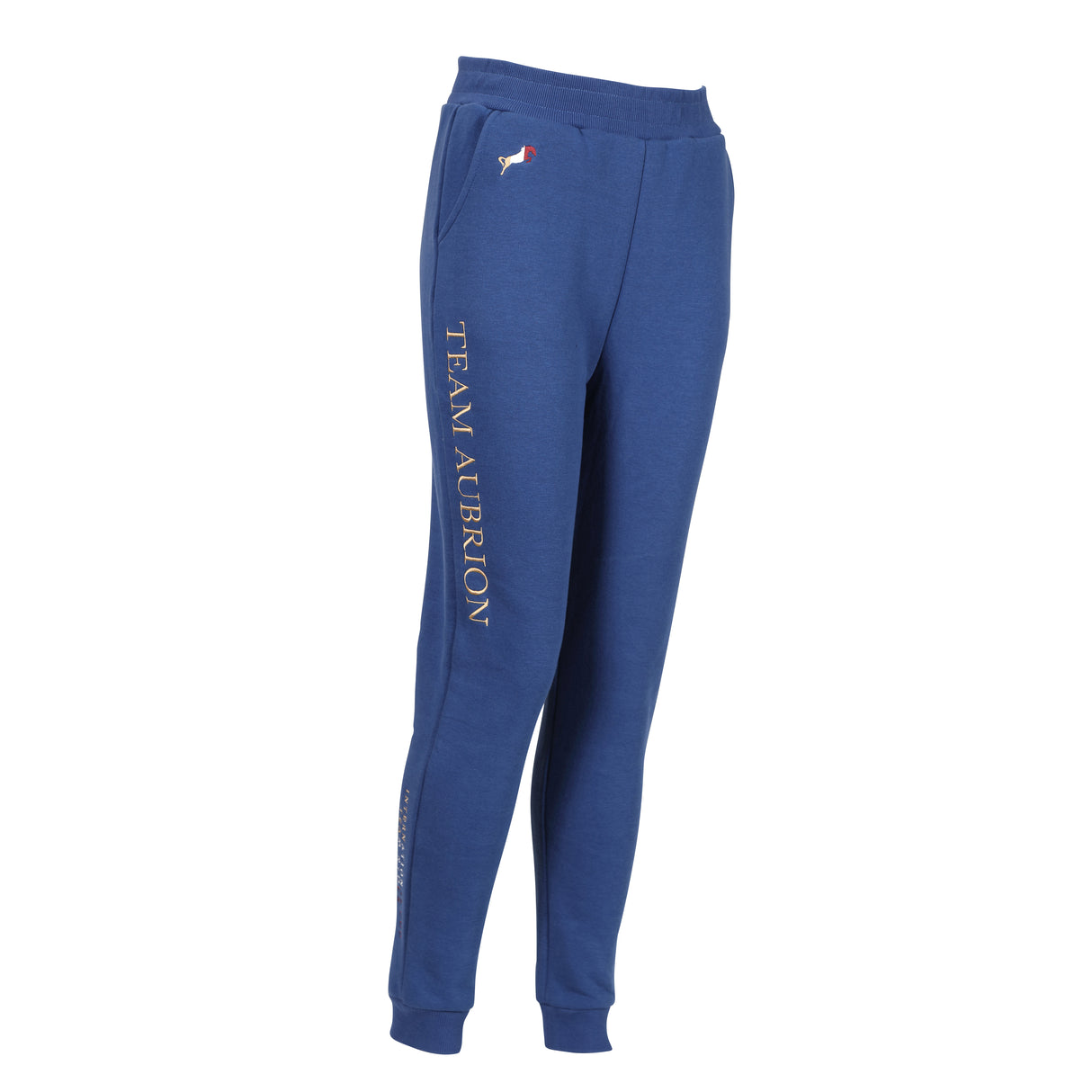 Shires Aubrion Young Rider Team Joggers #colour_navy