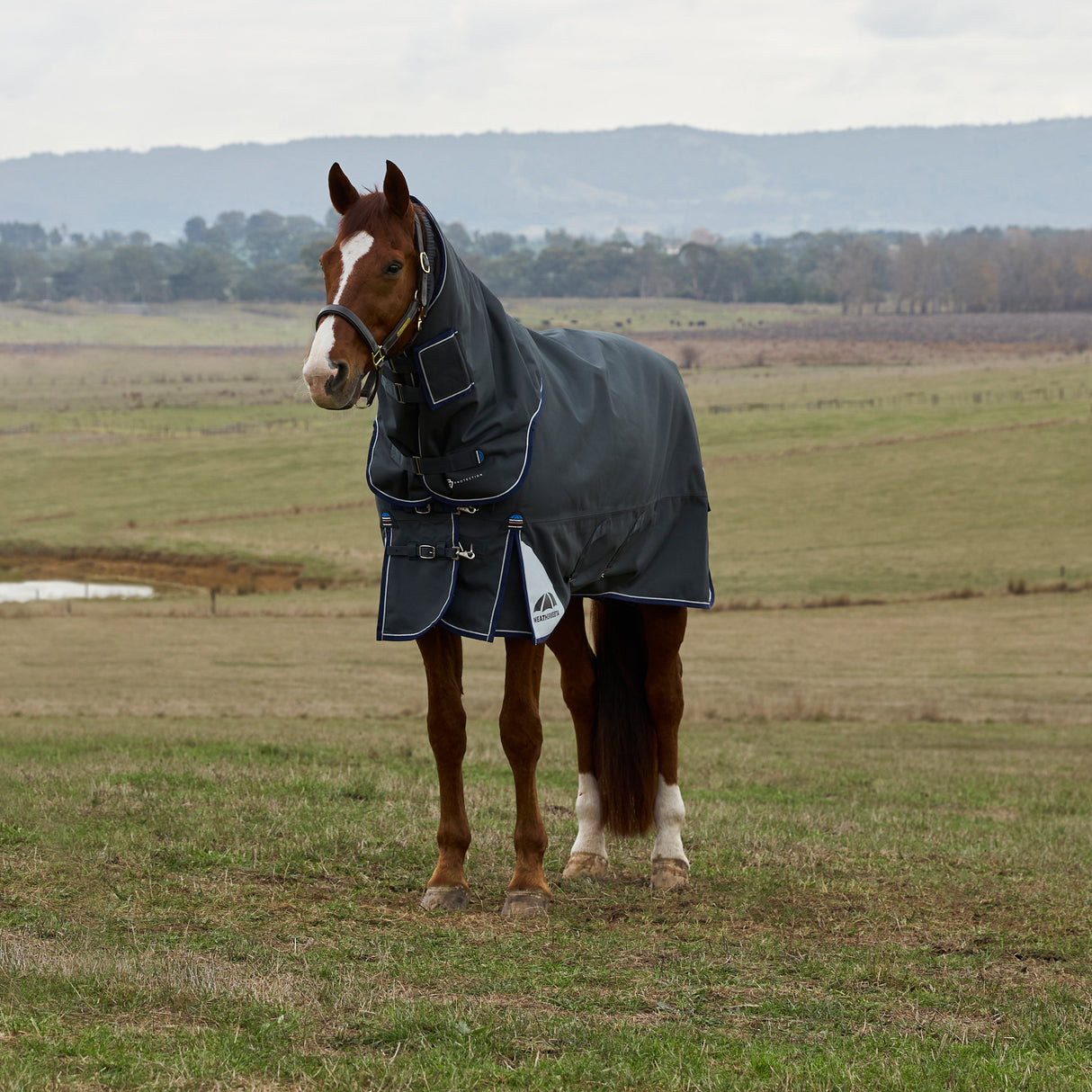 Weatherbeeta Comfitec Ultra 100G Detach-A-Neck Turnout #colour_charcoal