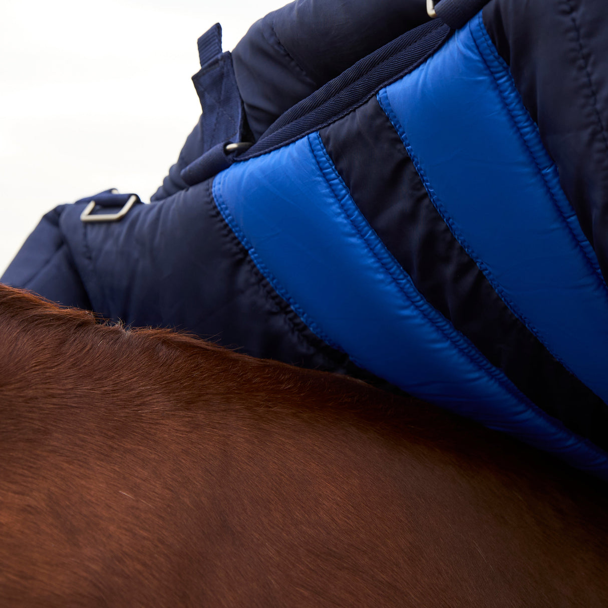 Weatherbeeta Comfitec Ultra 100G Detach-A-Neck Turnout #colour_navy