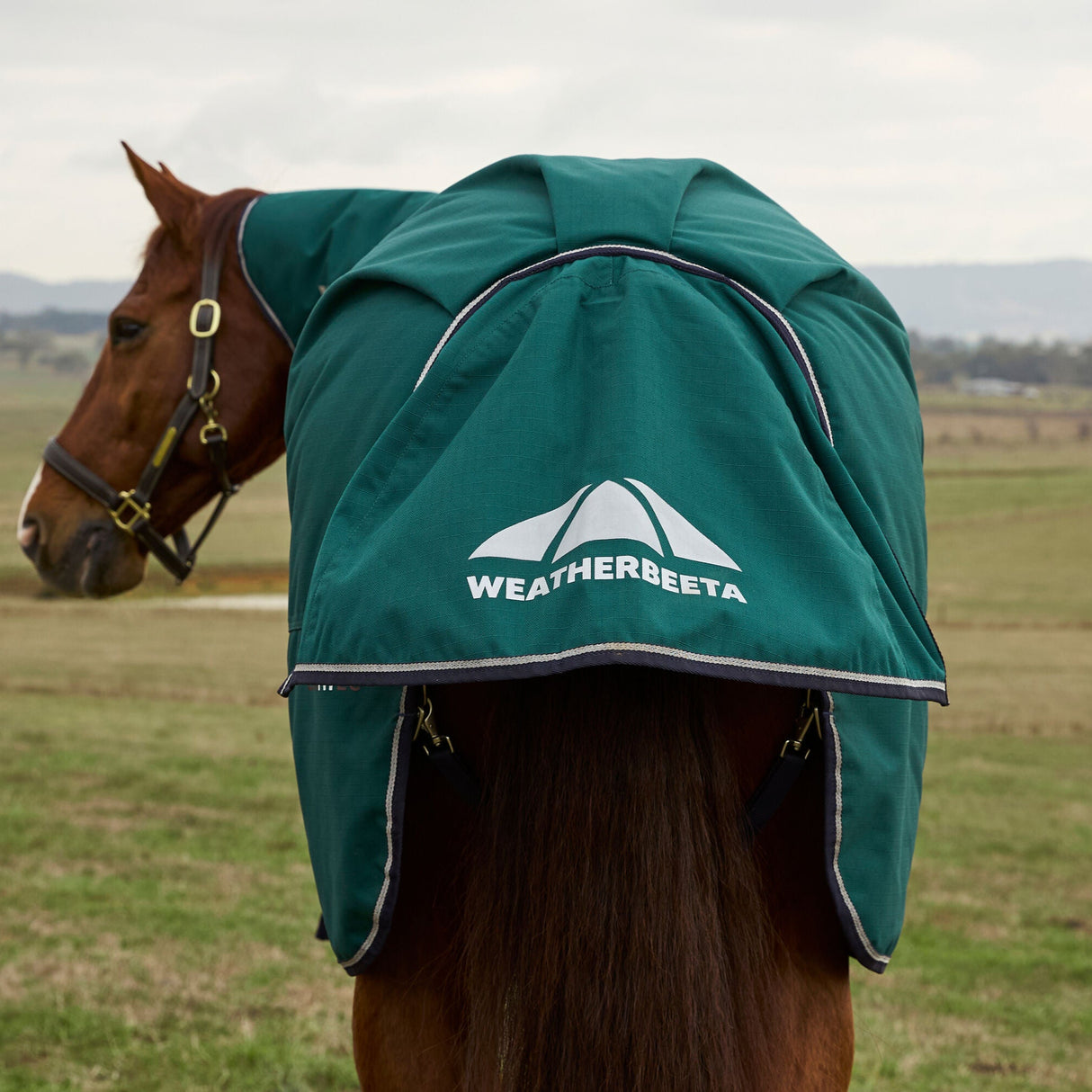 Weatherbeeta Comfitec Plus Dynamic 220G Detach-A-Neck Turnout #colour_forest-green-navy