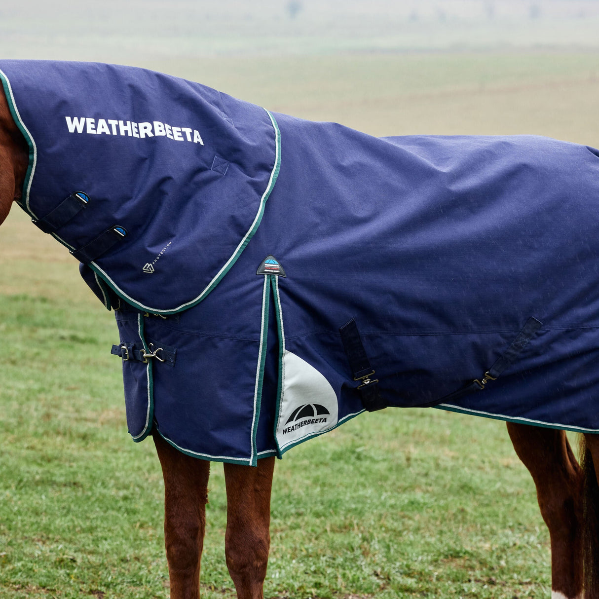 Weatherbeeta Comfitec Plus Dynamic 220G Detach-A-Neck Turnout #colour_navy-forest-green