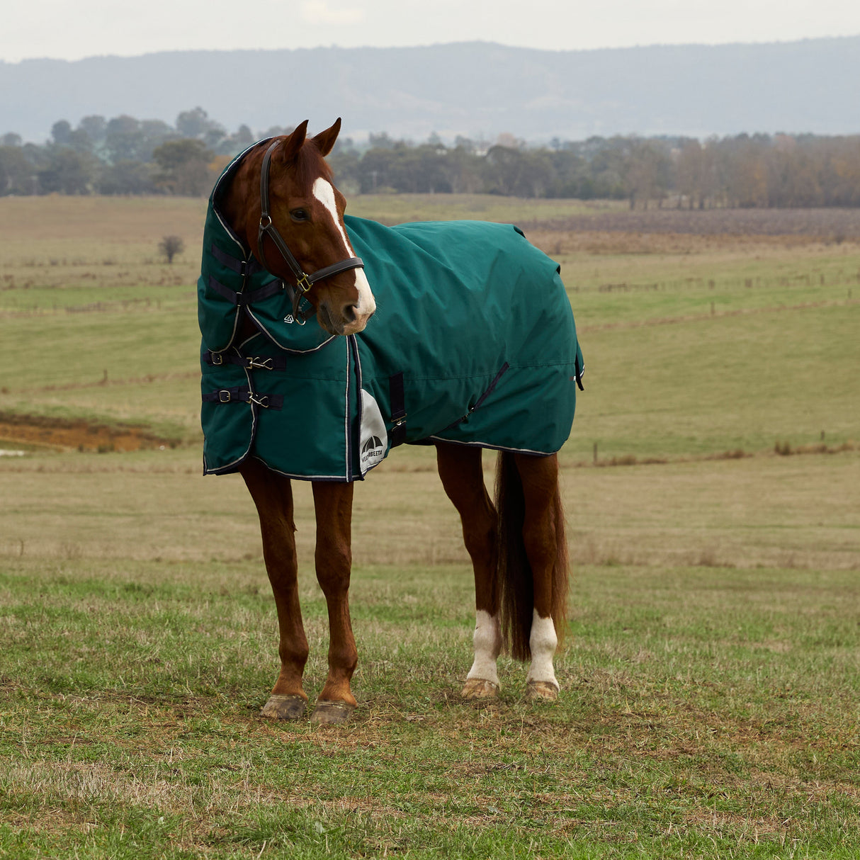 Weatherbeeta Comfitec Plus Dynamic 0G Detach-A-Neck Turnout #colour_forest-green-navy