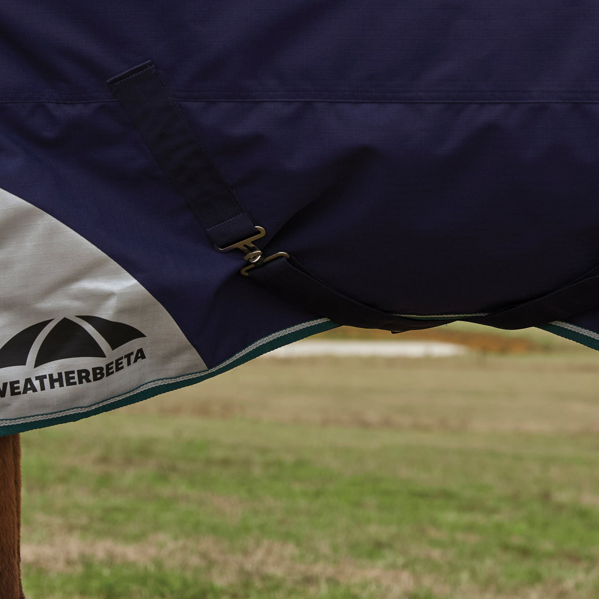 Weatherbeeta Comfitec Plus Dynamic 100G High Neck Turnout #colour_navy-forest-green