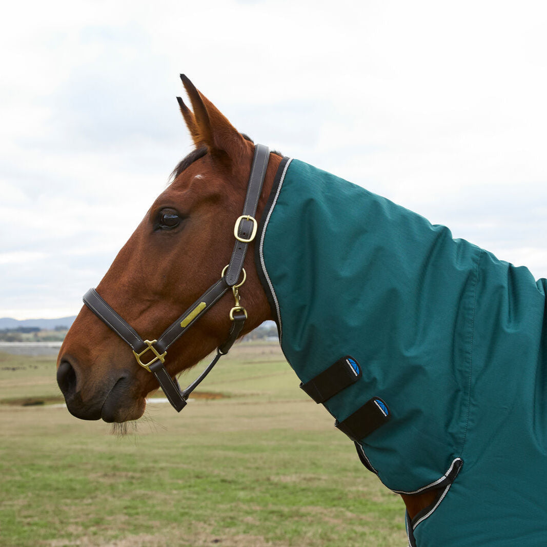 Weatherbeeta Comfitec Classic 50G Combo Turnout