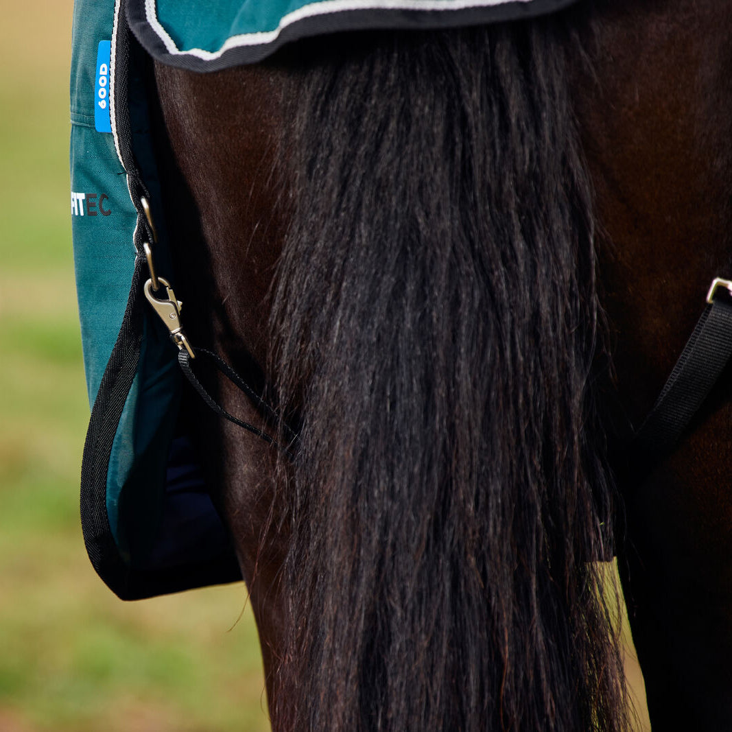 Weatherbeeta Comfitec Classic Combo Turnout #colour_forest-green-black