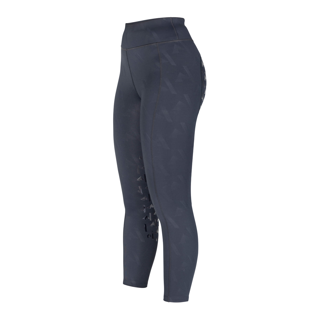 Shires Aubrion Ladies React Winter Riding Tights #colour_shadow