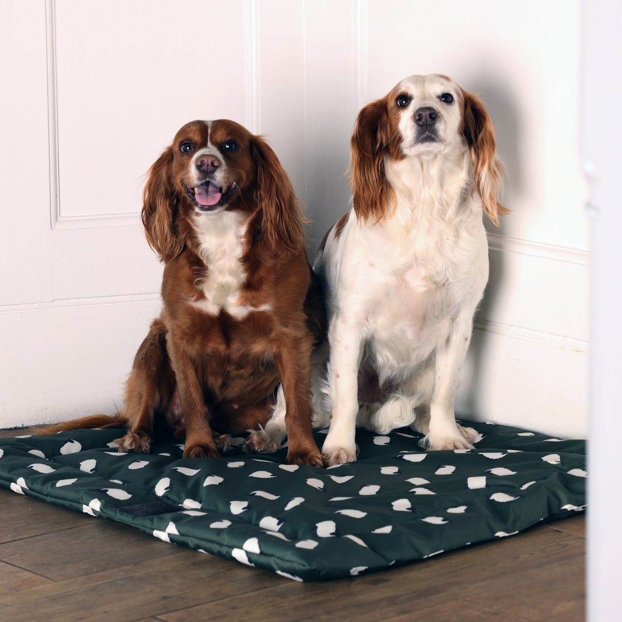 Shires Digby & Fox Waterproof Padded Dog Bed #colour_sheep