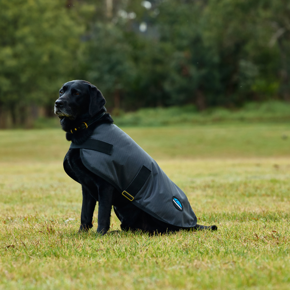 Weatherbeeta Comfitec Classic Waterproof Dog Coat #colour_grey