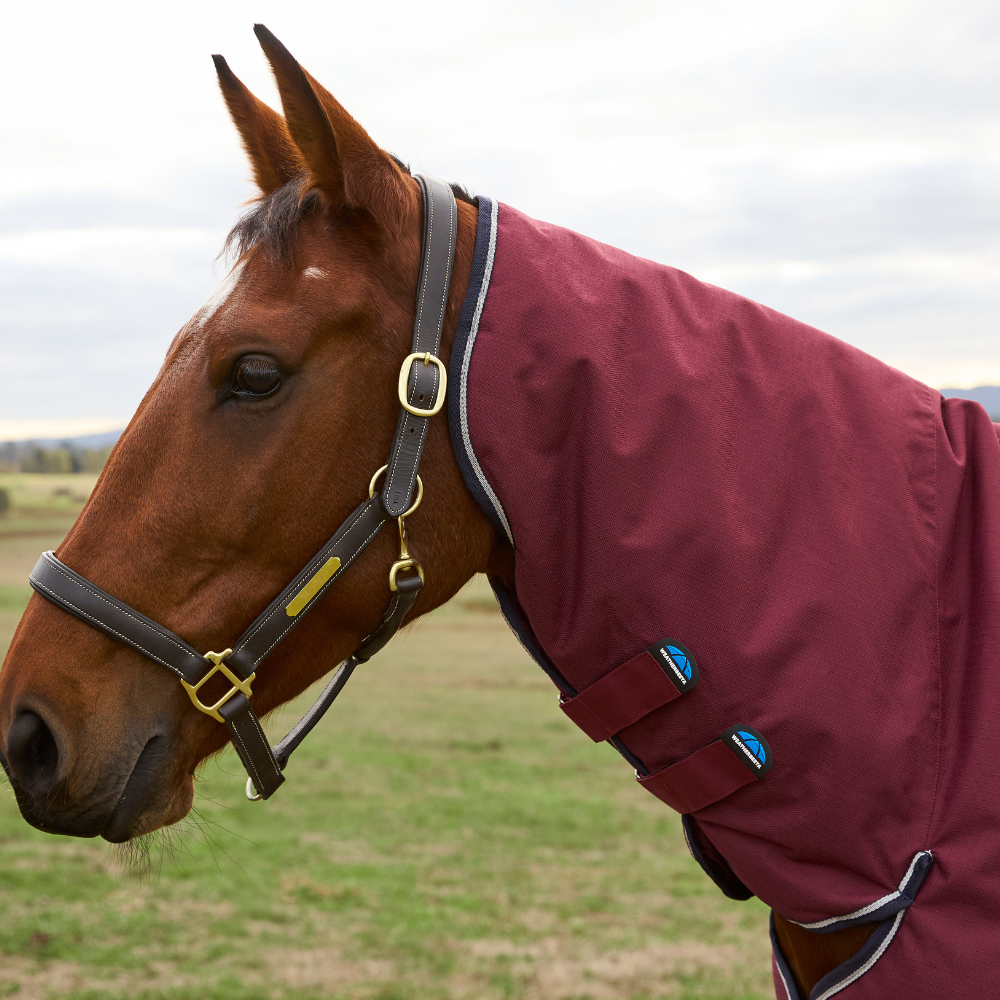 Weatherbeeta Comfitec Prelim 220G Combo Turnout #colour_burgundy-navy
