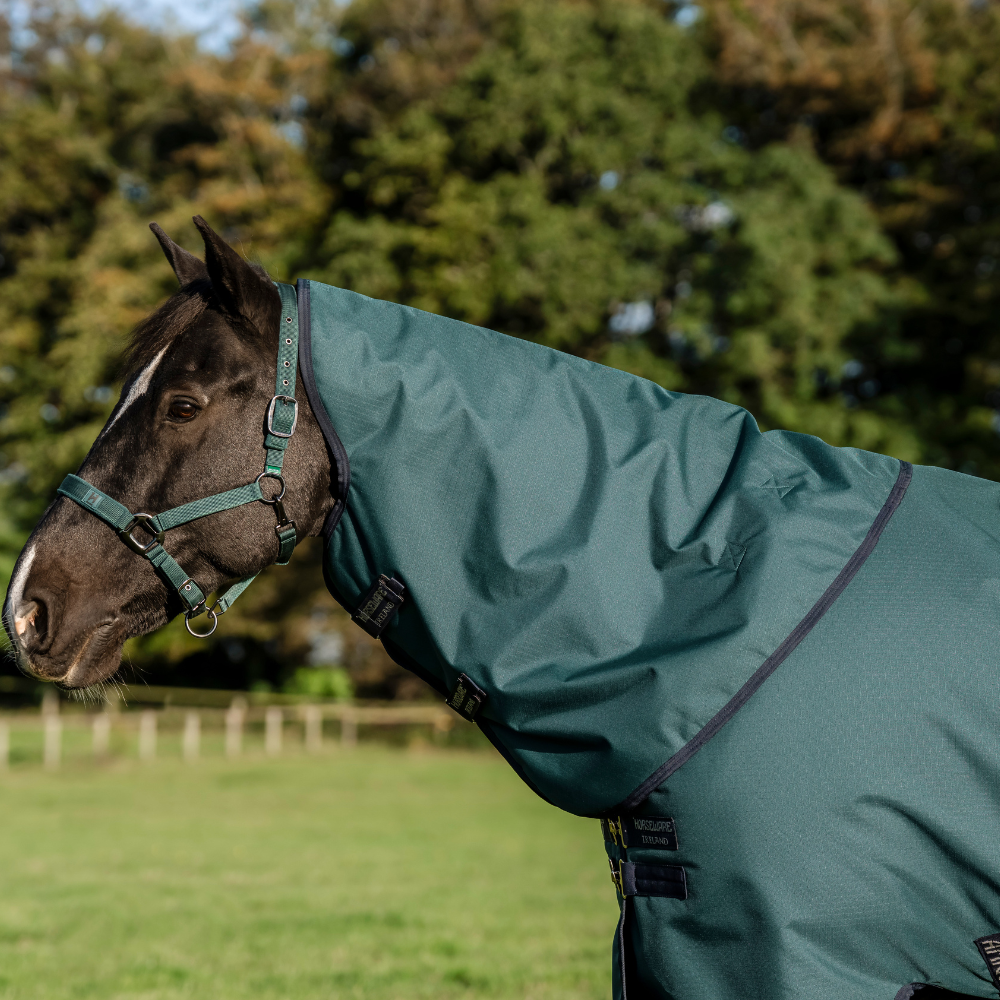 Horseware Ireland Amigo Ripstop 900 Plus 0g #colour_dynasty-green-navy-silver