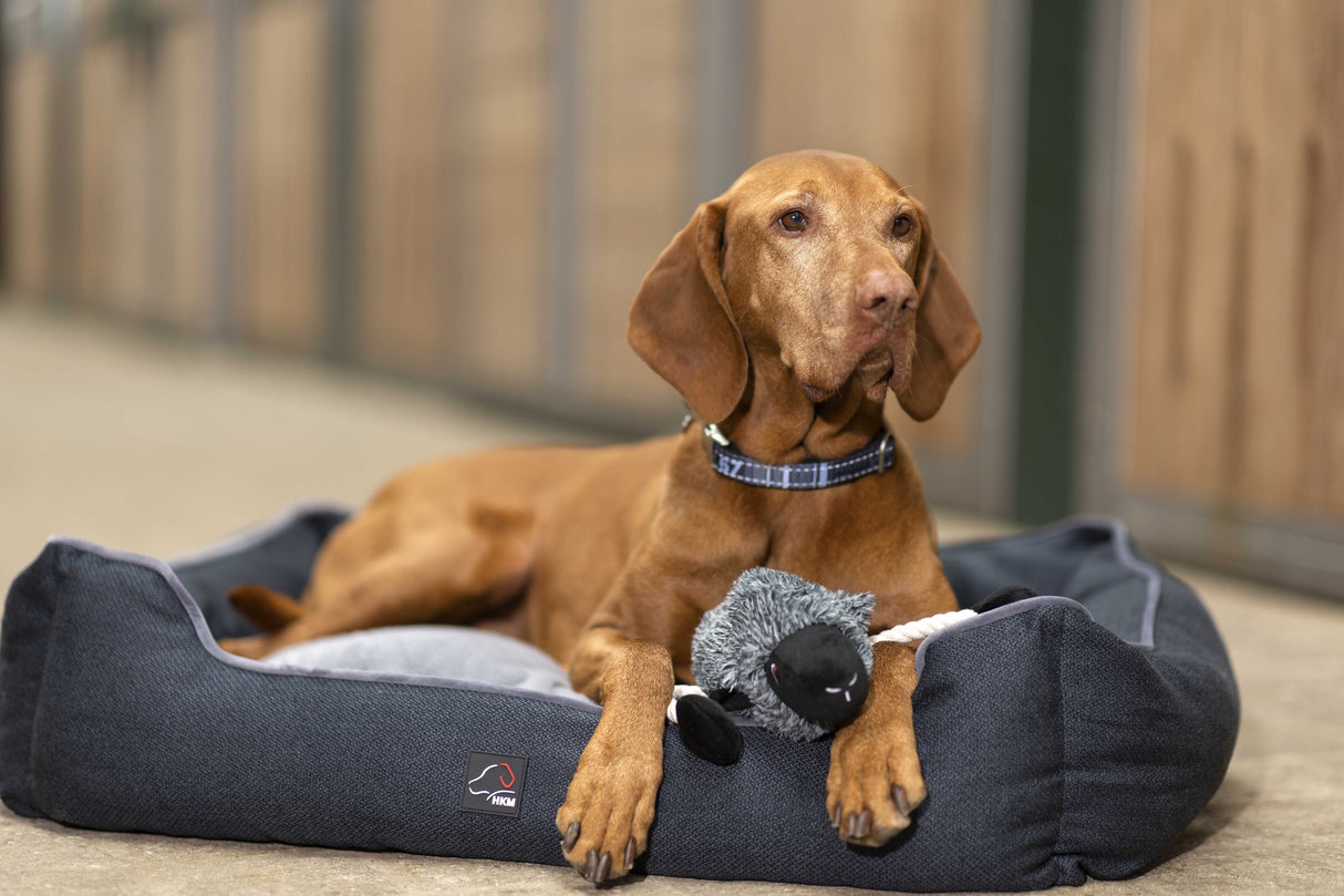 HKM Dog Bed -Buddy Robust- #colour_black/grey