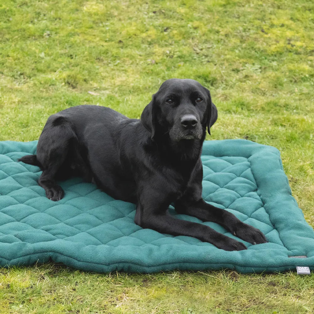Benji & Flo Essential Fleece Dog Bed #colour_green