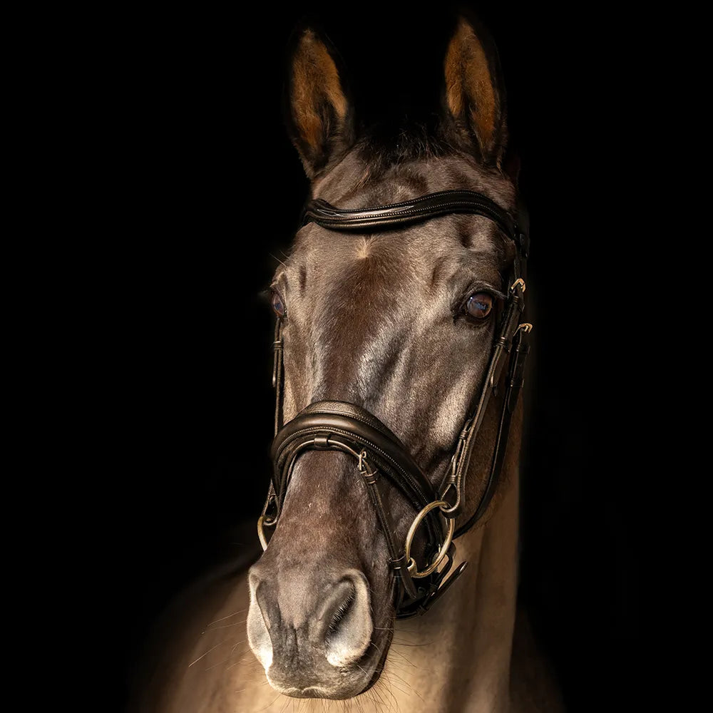 ProPresicce Pelle Crank Leather Bridle by Hy Equestrian #colour_brown-brass