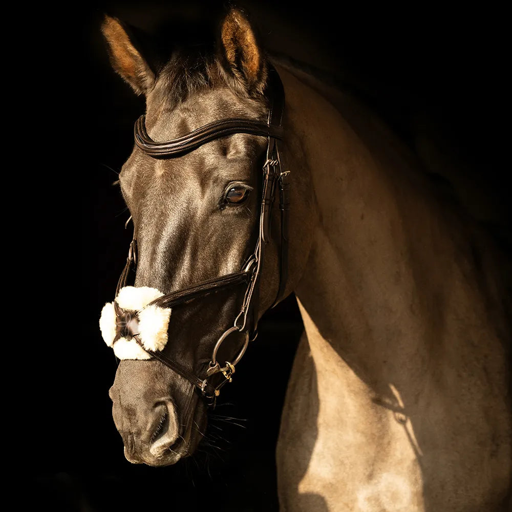 ProPresicce Pelle Grackle Leather Bridle by Hy Equestrian #colour_brown-brass