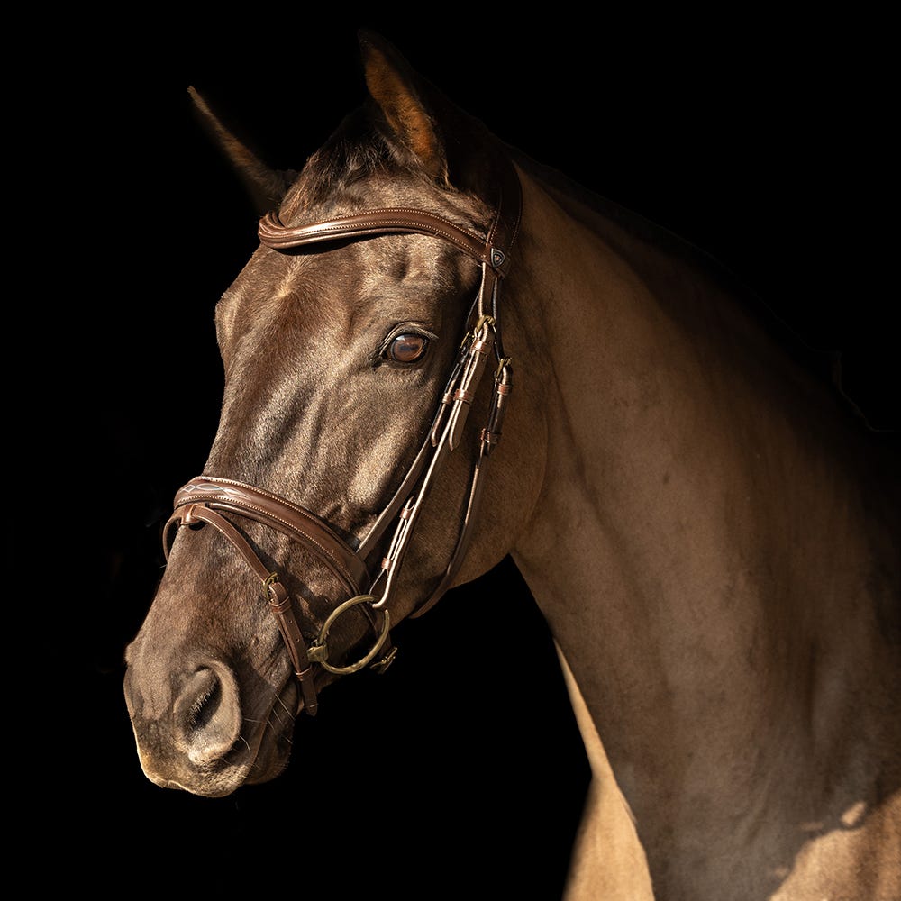ProPresicce Pelle Raised Flash Leather Bridle by Hy Equestrian #colour_brown-brass