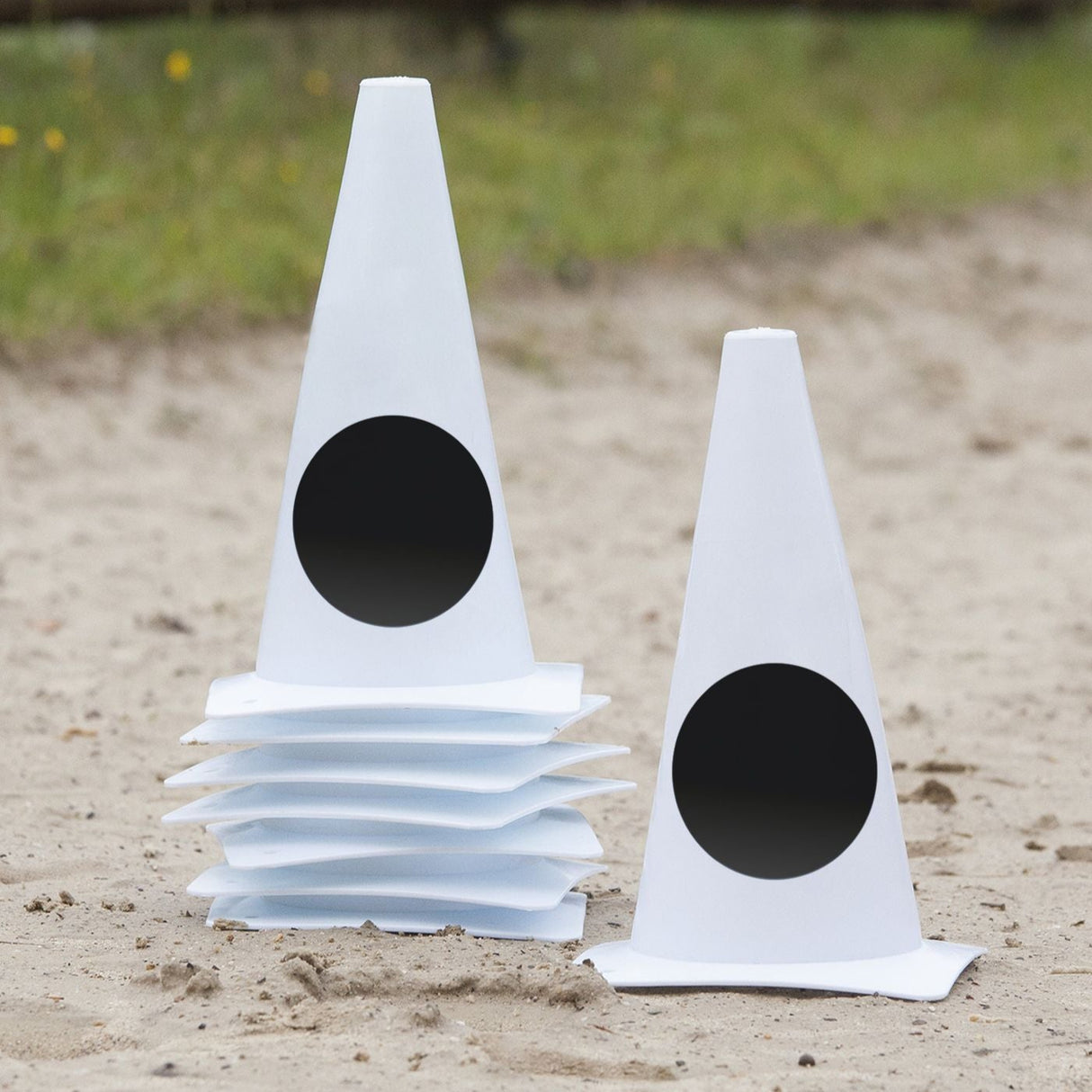 Waldhausen Circle Points Dressage Markers