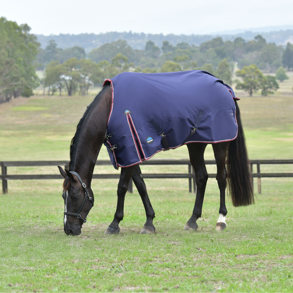 Weatherbeeta Comfitec Essential 0G Turnout #colour_navy-burgundy