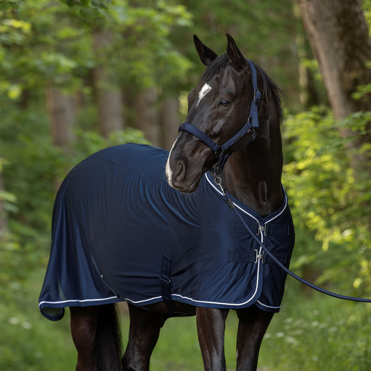 Covalliero Headcollar #colour_dark-navy