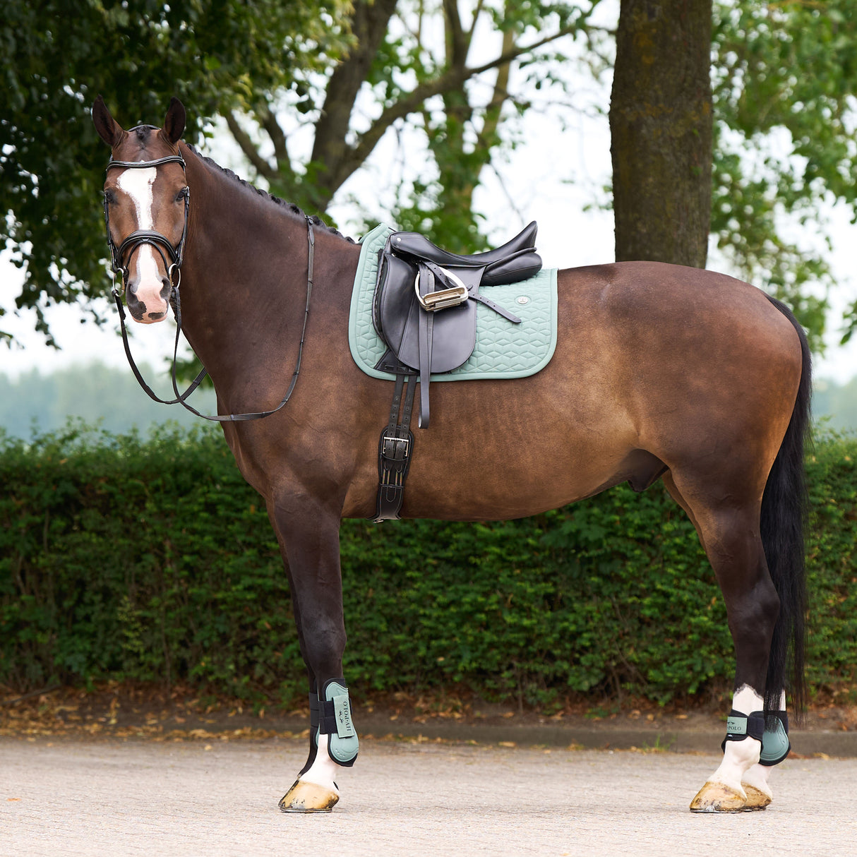 HV Polo Essential Dressage Saddle Pad #colour_greenery