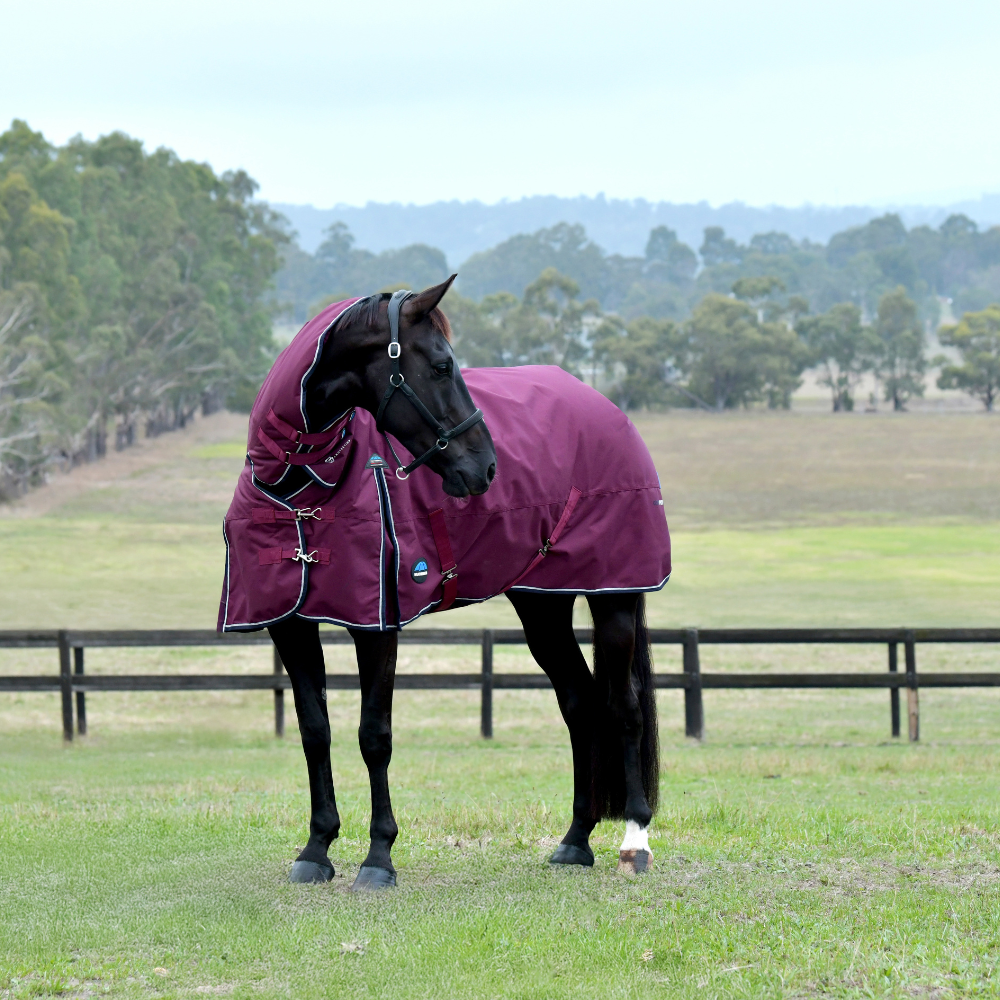 Weatherbeeta Comfitec Essential 50G Combo Turnout #colour_burgundy-navy
