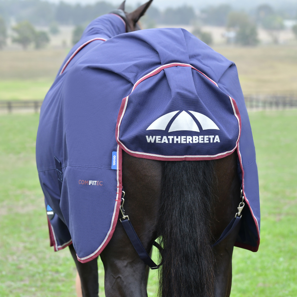 Weatherbeeta Comfitec Essential 50G Detach-A-Neck Turnout #colour_navy-burgundy