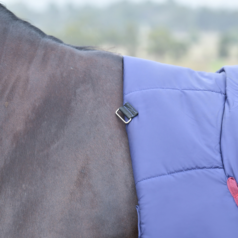 Weatherbeeta Comfitec Essential 50G Combo Turnout #colour_navy-burgundy