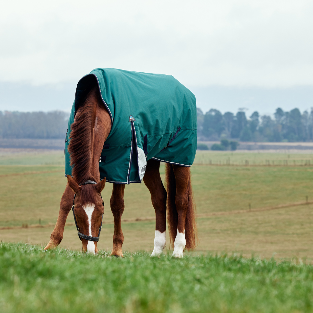 Weatherbeeta Comfitec Plus Dynamic 100G High Neck Turnout #colour_forest-green-navy