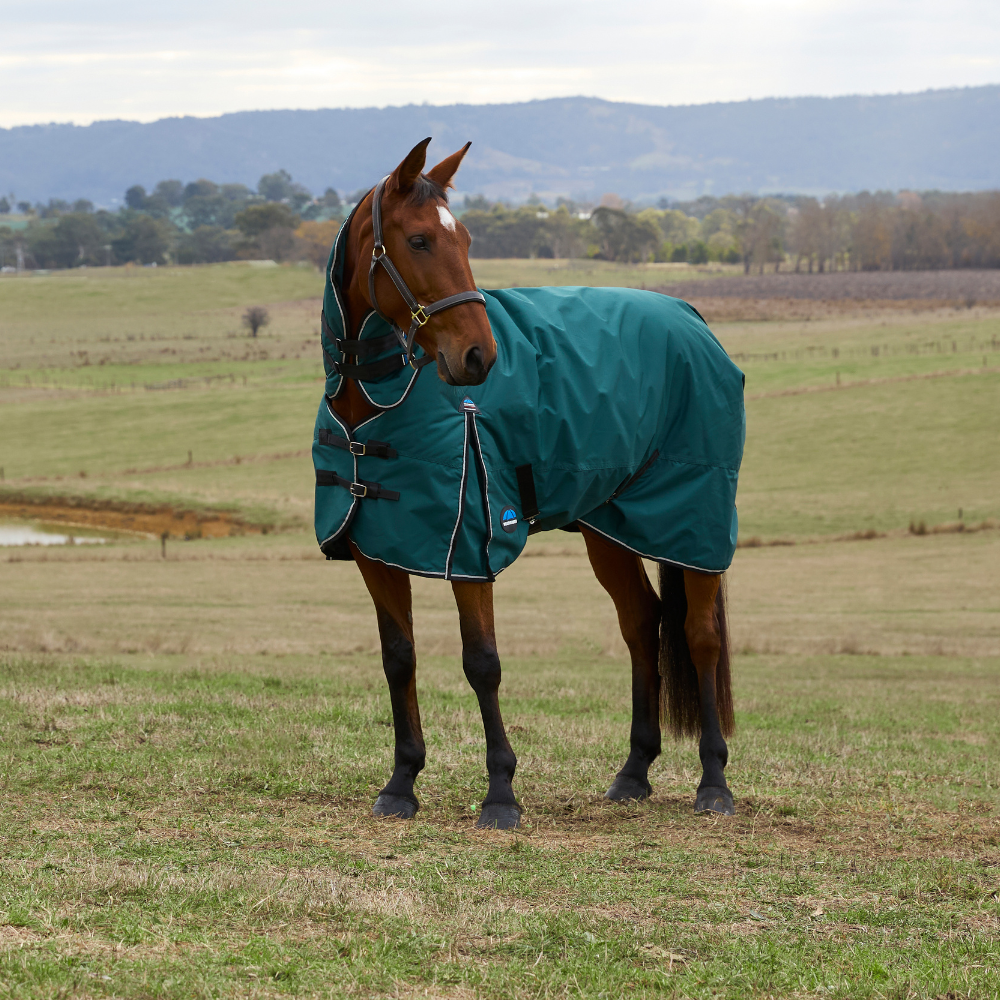 Weatherbeeta Comfitec Classic 360G Combo Turnout #colour_forest-green-black