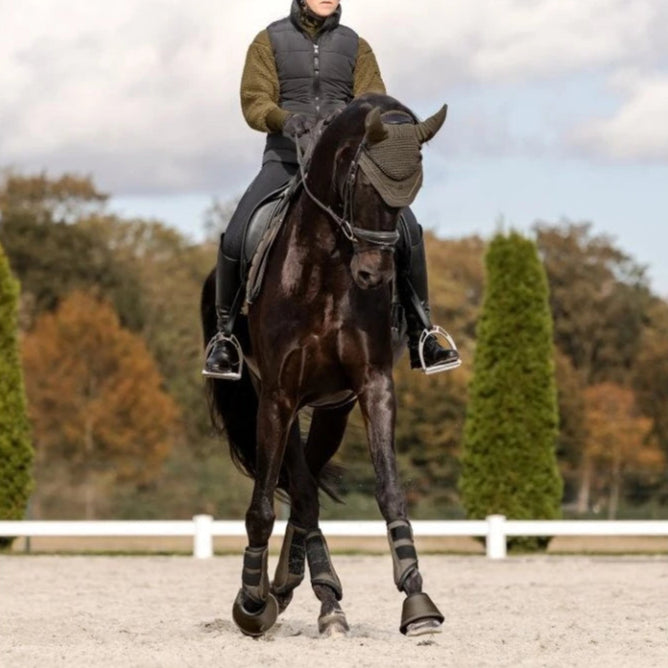 Waldhausen St. Gallen Fly Ears #colour_green-brown