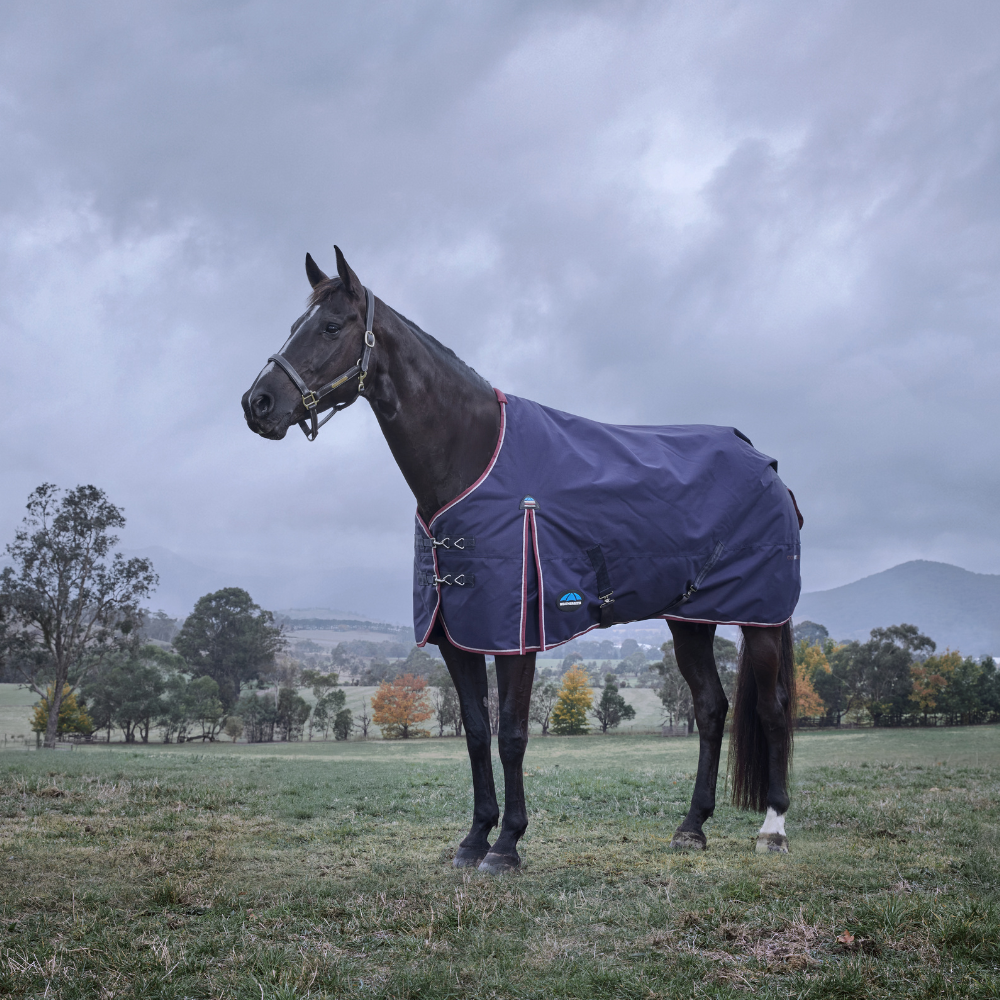 Weatherbeeta Comfitec Essential 220G Turnout #colour_navy-burgundy