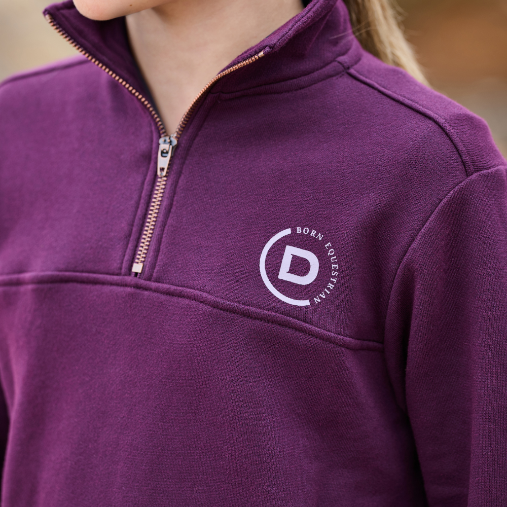 Dublin Children's 1/4 Zip Fleece Pullover #colour_purple-violet