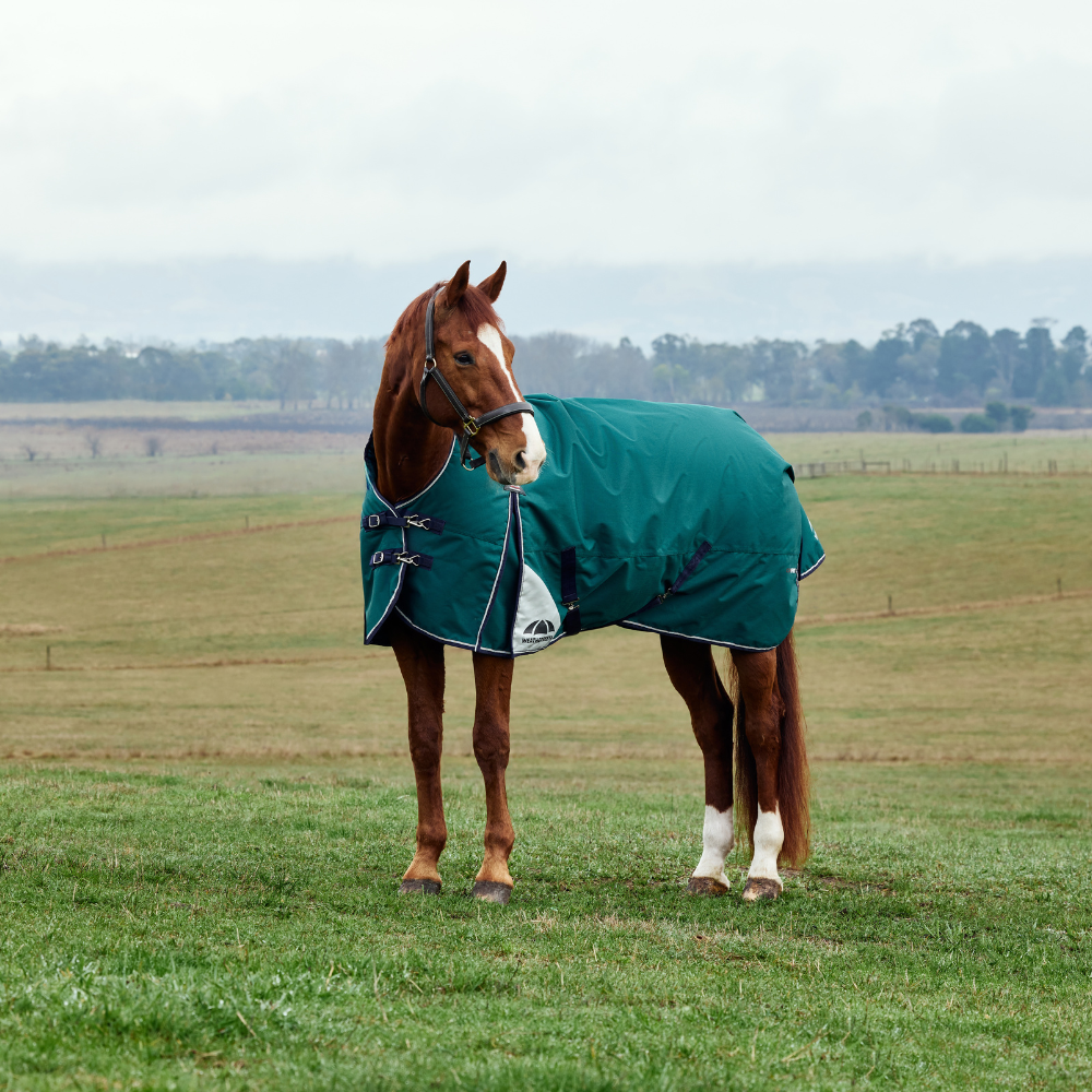 Weatherbeeta Comfitec Plus Dynamic 220G High Neck Turnout #colour_forest-green-navy