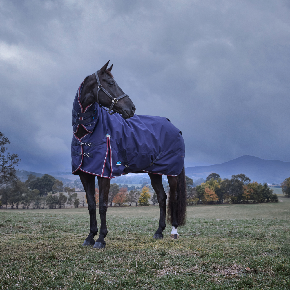 Weatherbeeta Comfitec Essential 220G Combo Turnout #colour_navy-burgundy