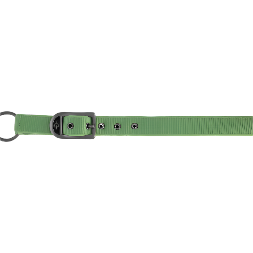 Covalliero Headcollar #colour_green