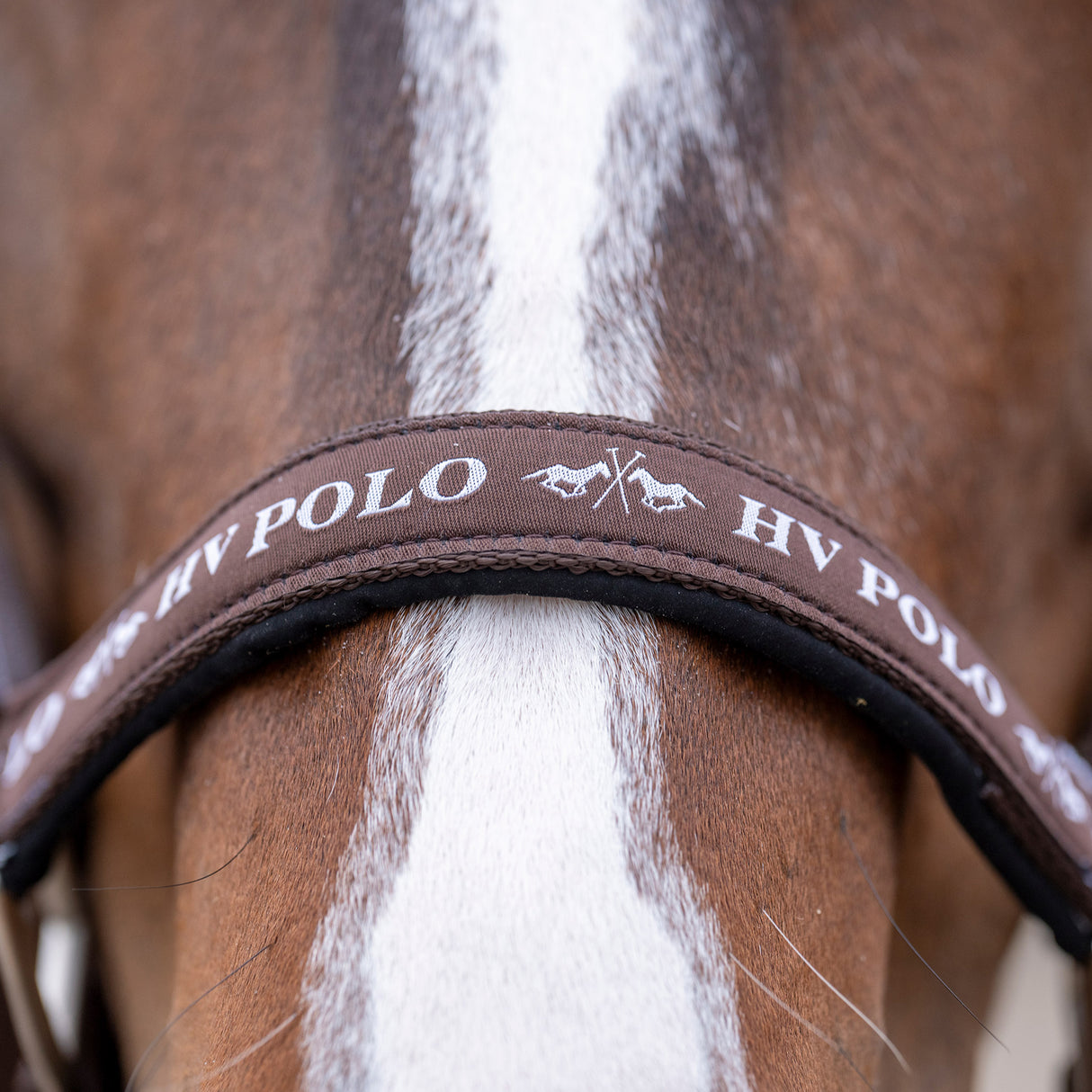 HV Polo Nena Headcollar #colour_brown