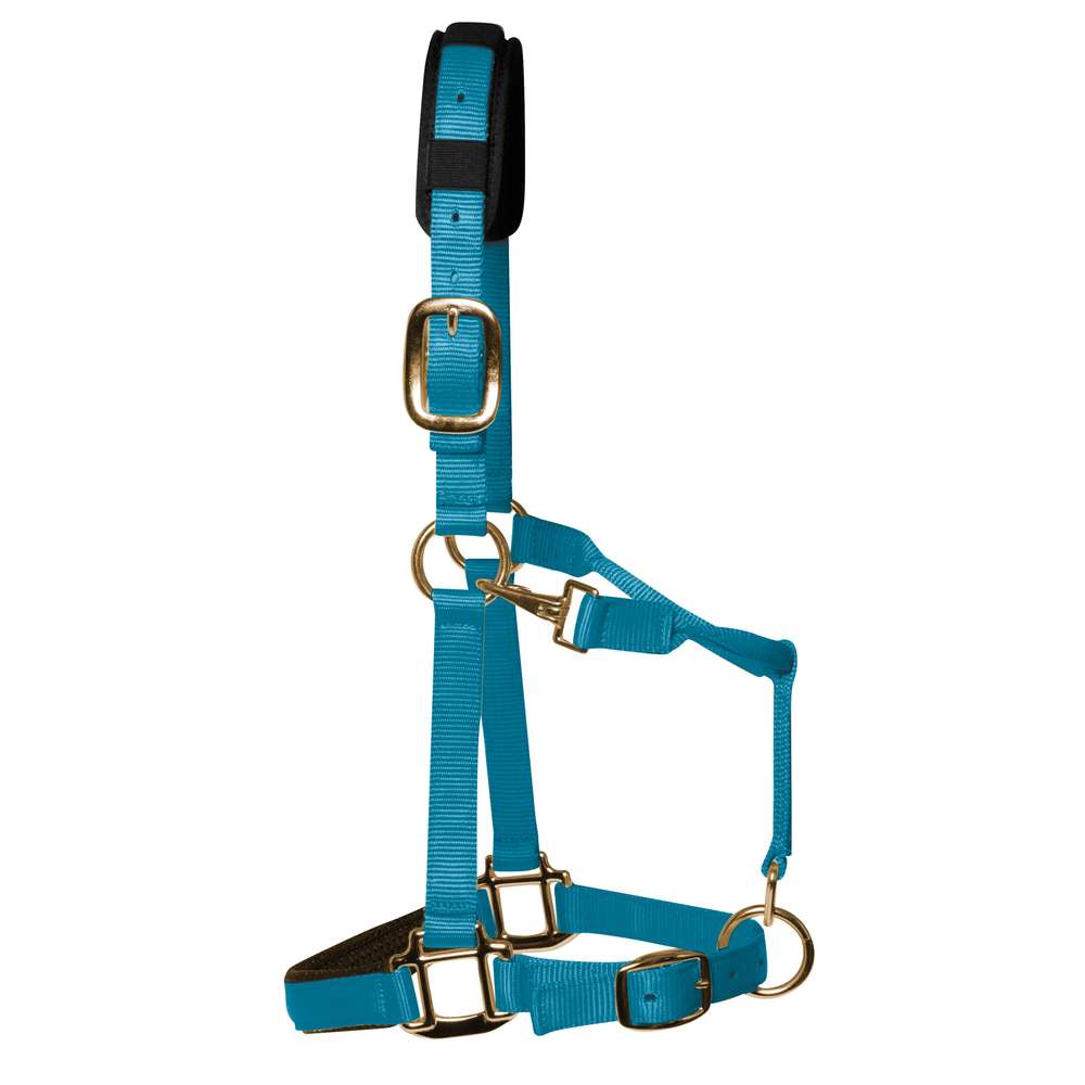 KM Elite Padded Headcollar #colour_pastel-blue