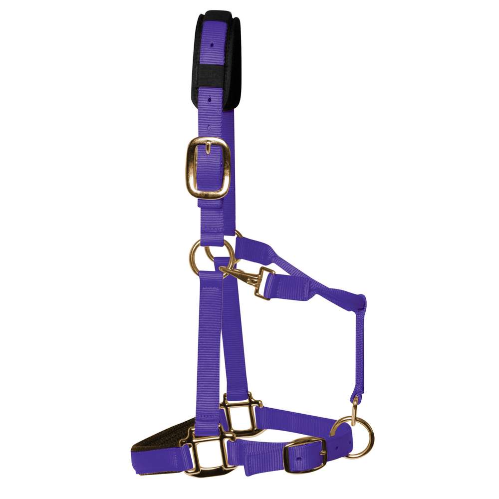 KM Elite Padded Headcollar #colour_purple