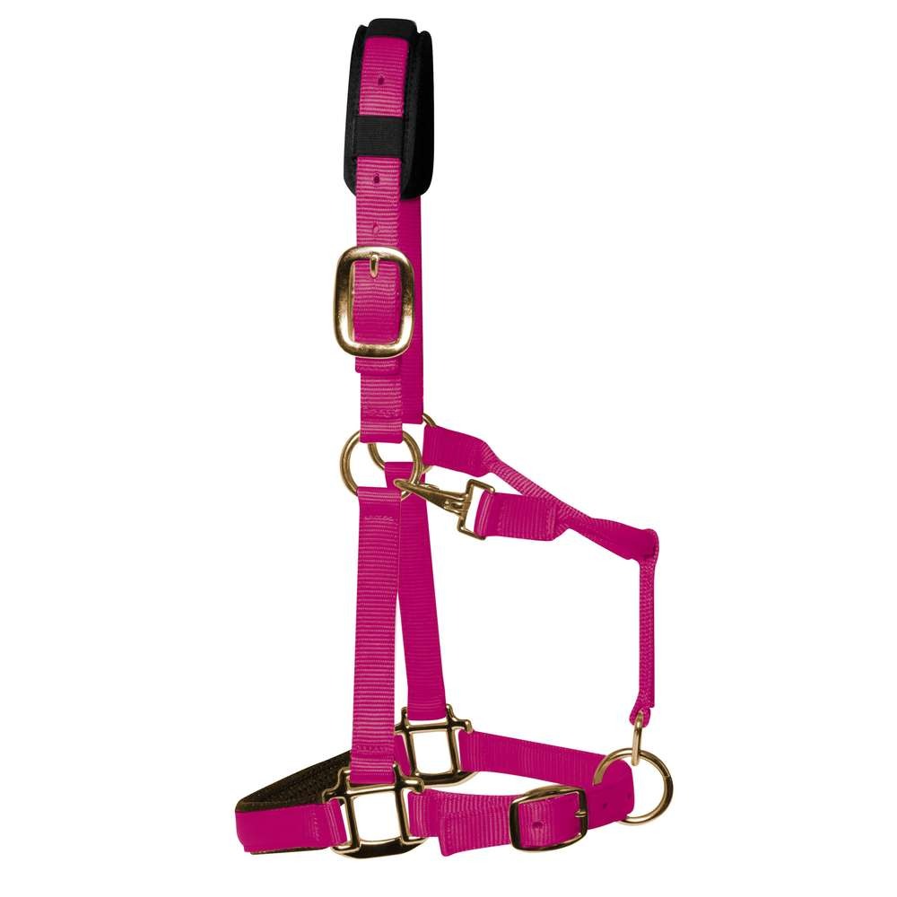 KM Elite Padded Headcollar #colour_raspberry