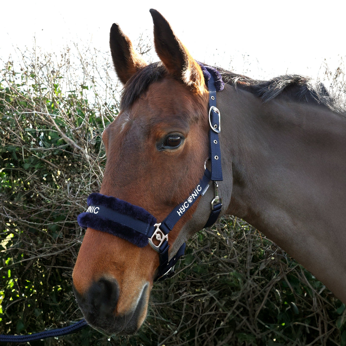 HYCONIC Faux Fur Head Collar & Lead Rope #colour_navy