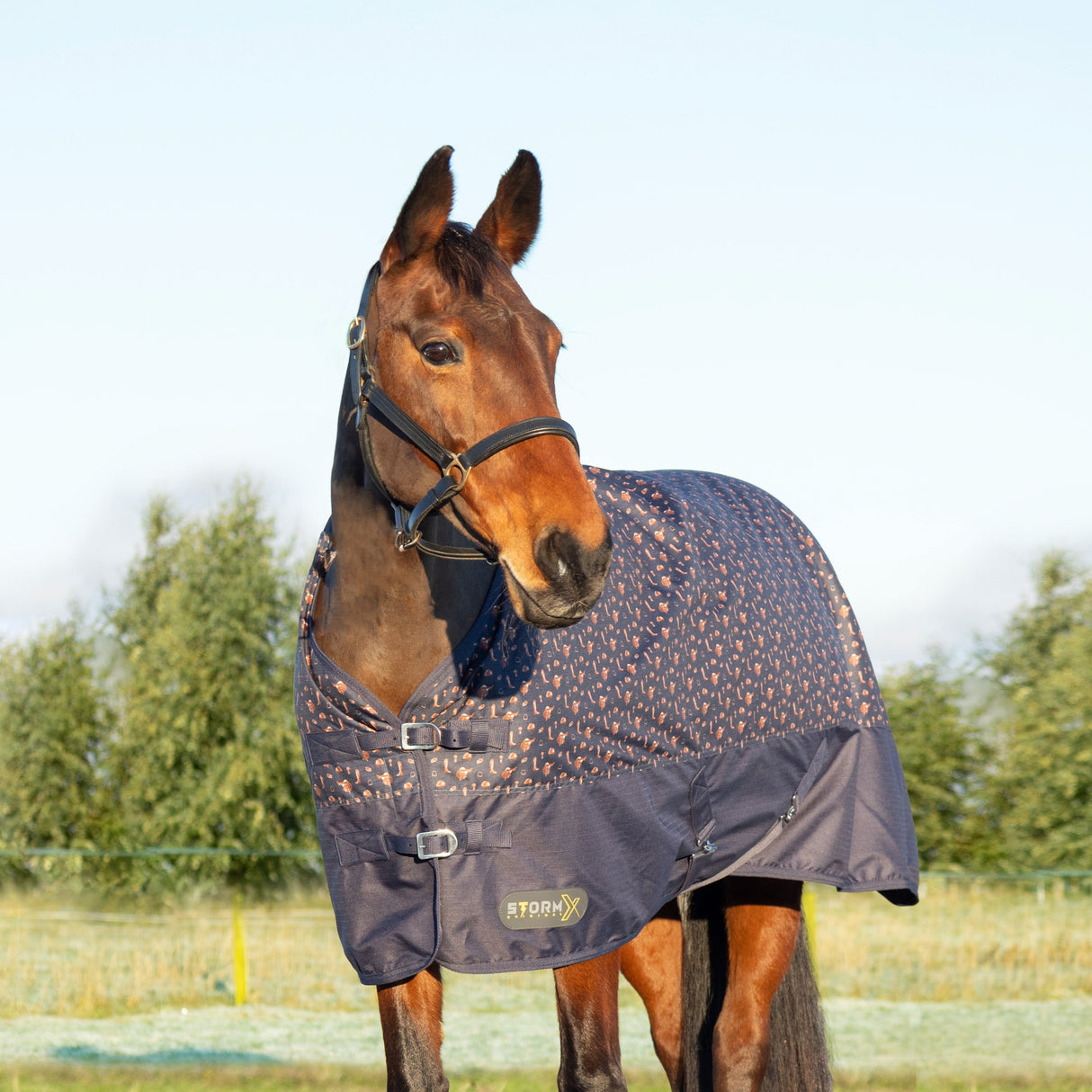StormX Original Country 100 Turnout Rug #colour_navy