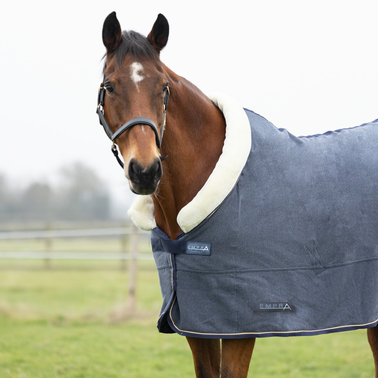 StormX Empra Cushioned Fleece Rug #colour_opal-grey