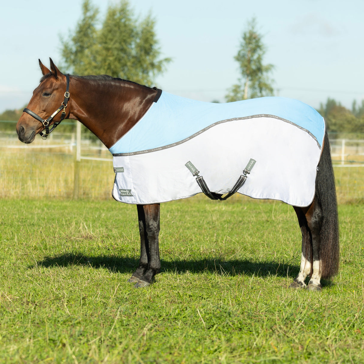 StormX Empra MeshX Flow Cooler Rug