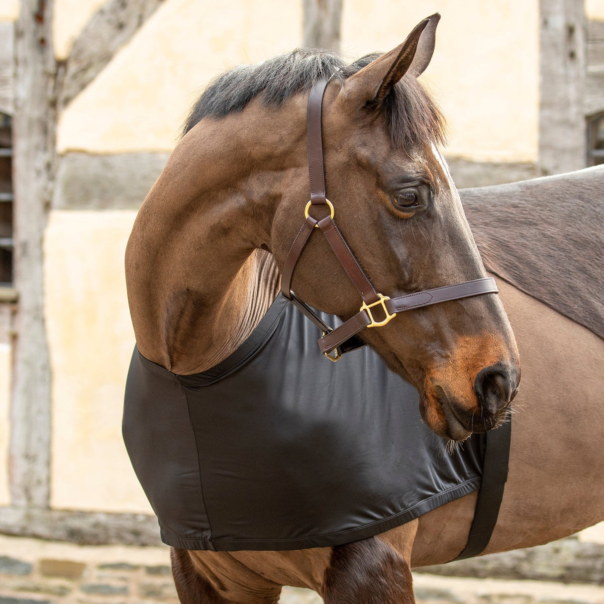 Gilet extensible anti-frottement Shires