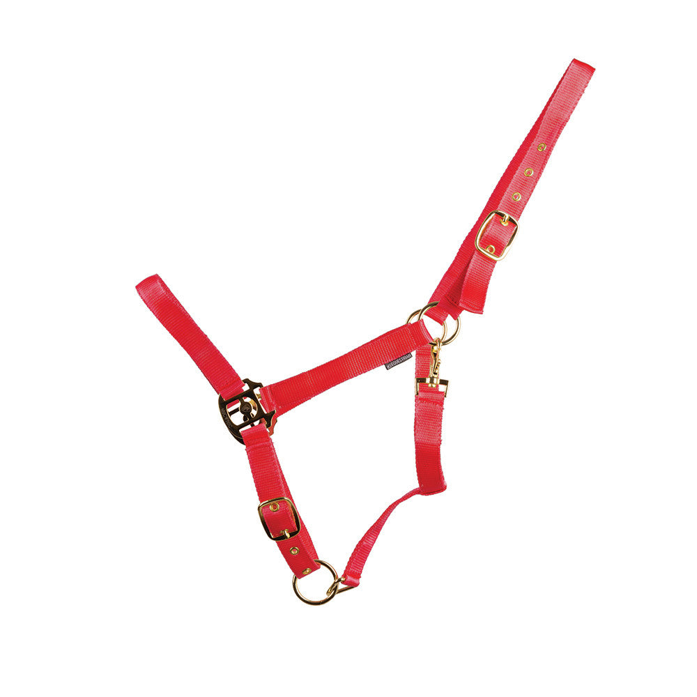 HyCONIC Head Collar #colour_red