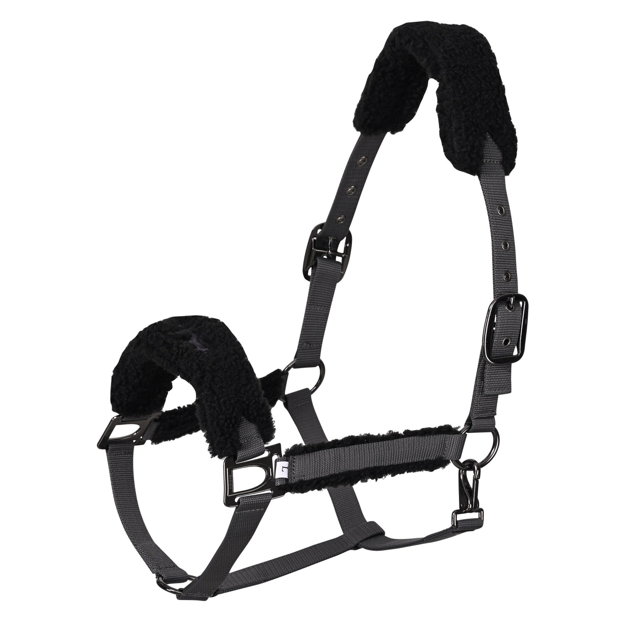 HV Polo Teddy Headcollar #colour_cloud-grey