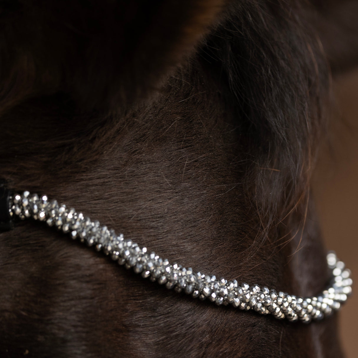 ProPresicce Signature Crystal Diamante Browband by Hy Equestrian #colour_silver