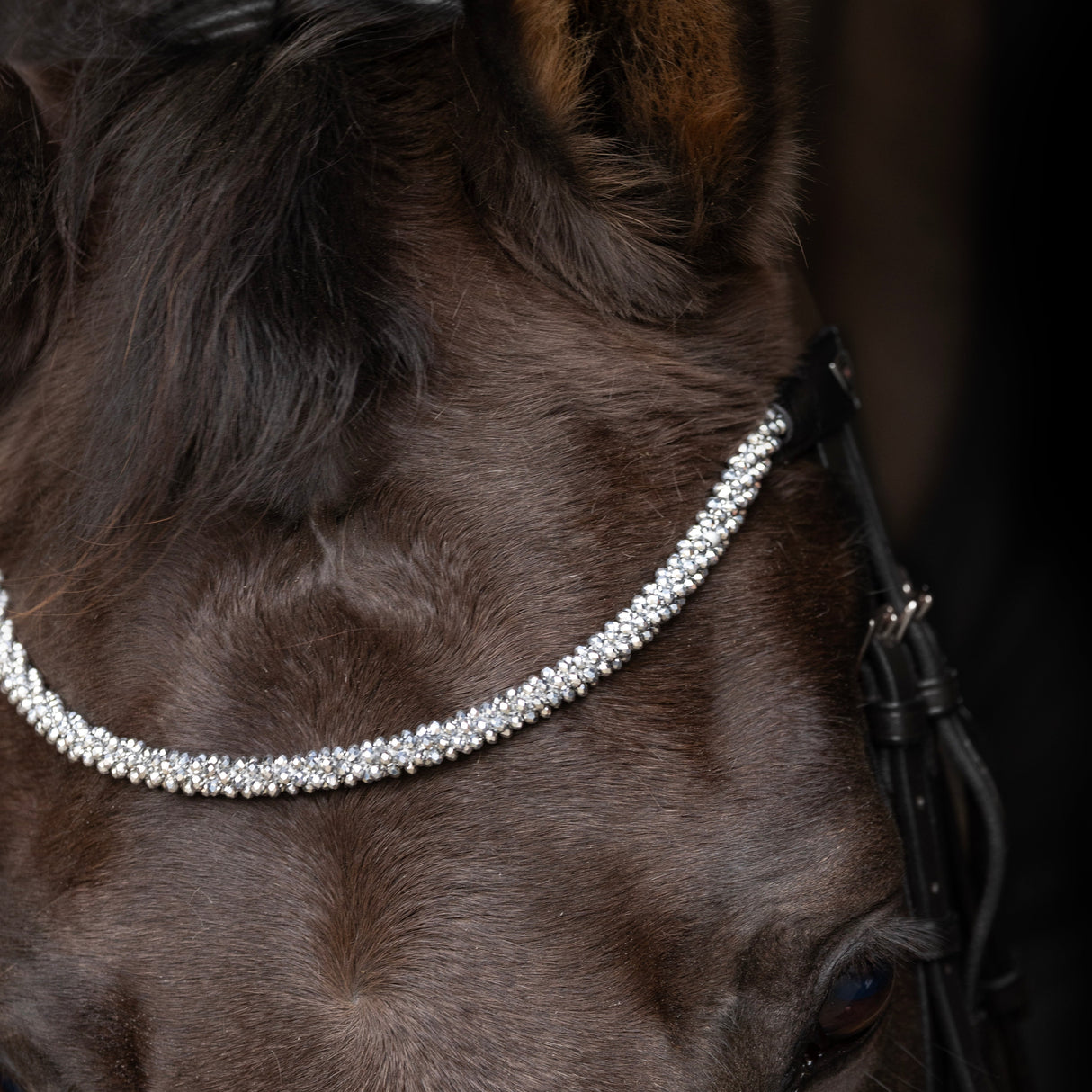 ProPresicce Signature Crystal Diamante Browband by Hy Equestrian #colour_silver