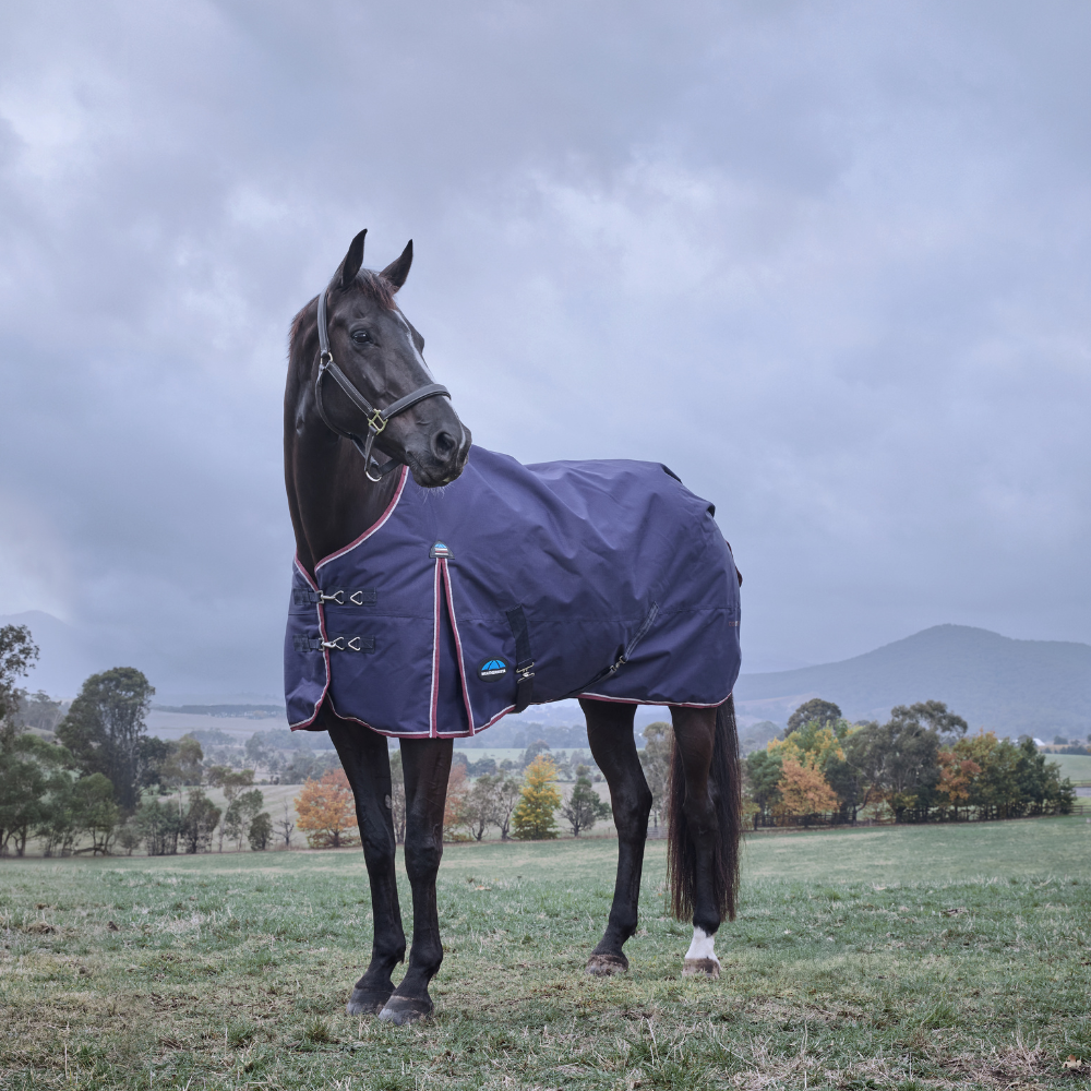 Weatherbeeta Comfitec Essential 220G Turnout #colour_navy-burgundy